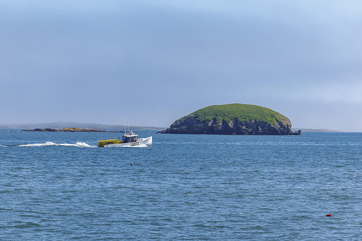 88 Cape Circle Addison ME 04606