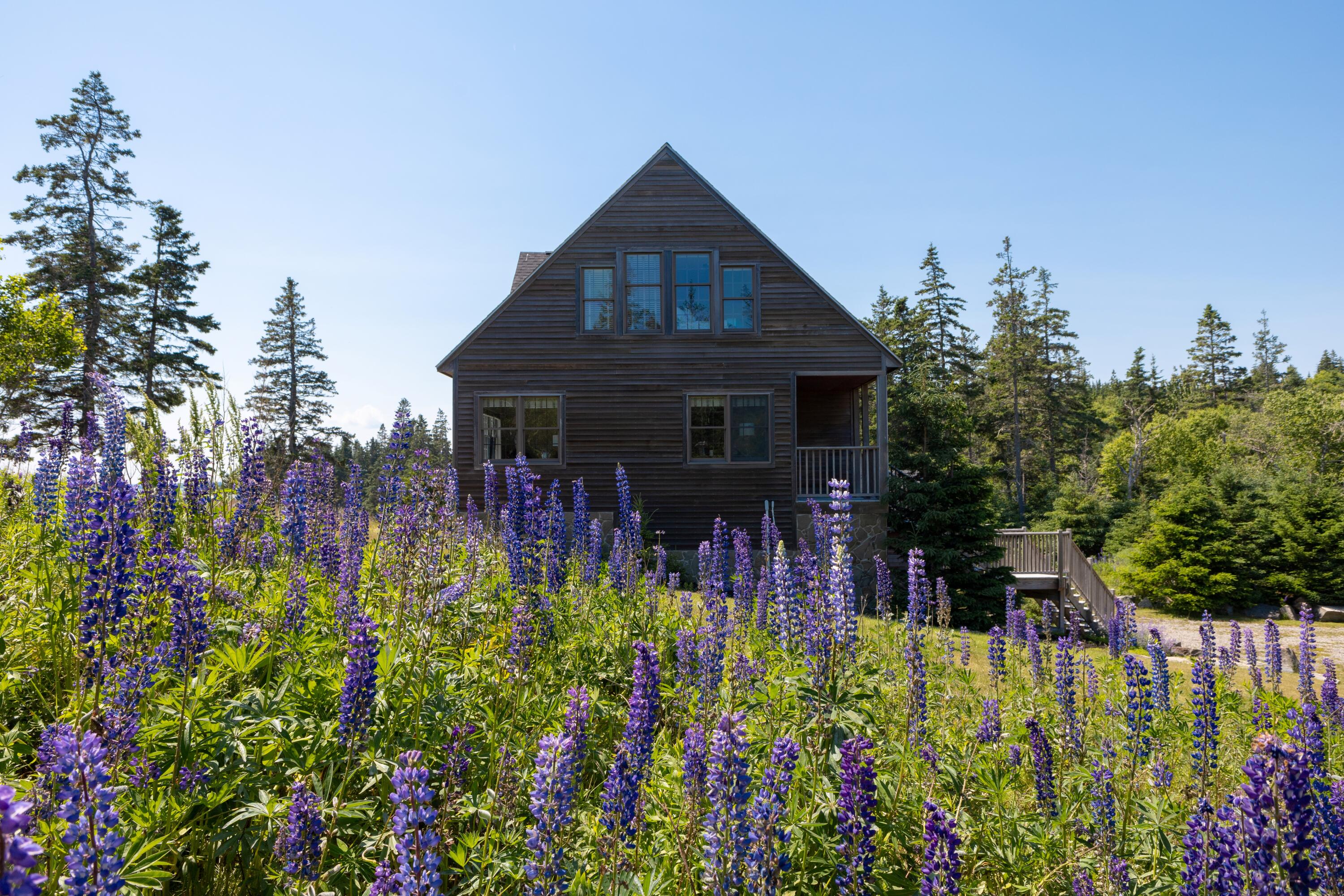 88 Cape Circle Addison ME 04606