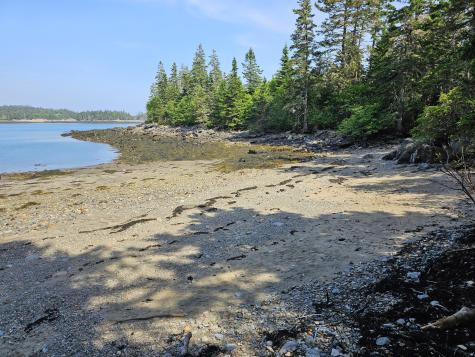 88 Cape Circle Addison ME 04606