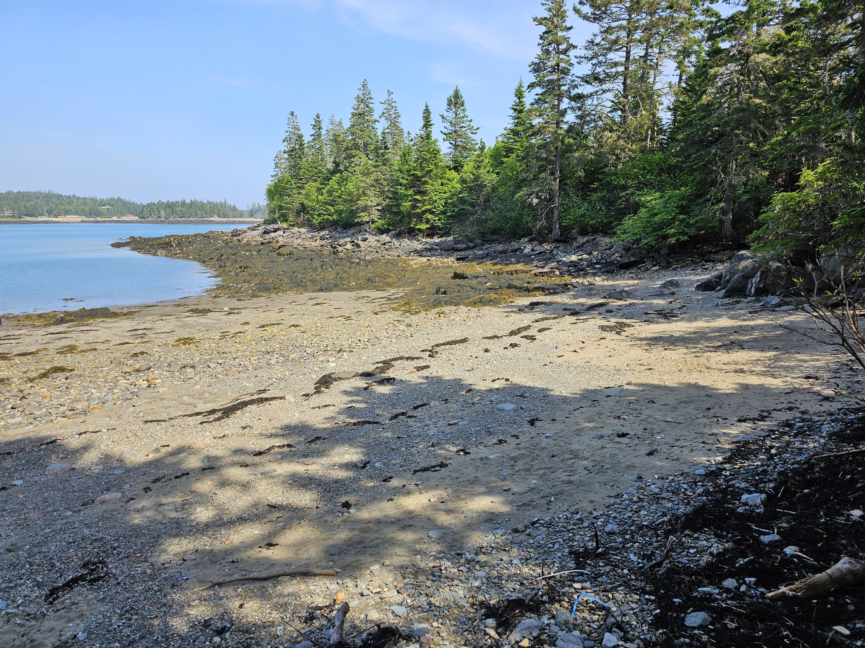 88 Cape Circle Addison ME 04606