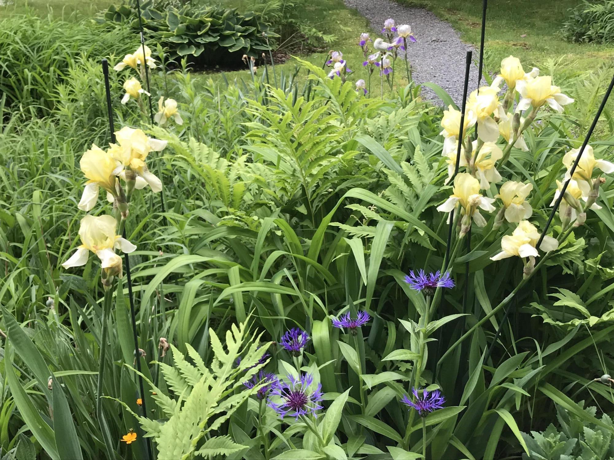 260 Coombs Road Brunswick ME 04011