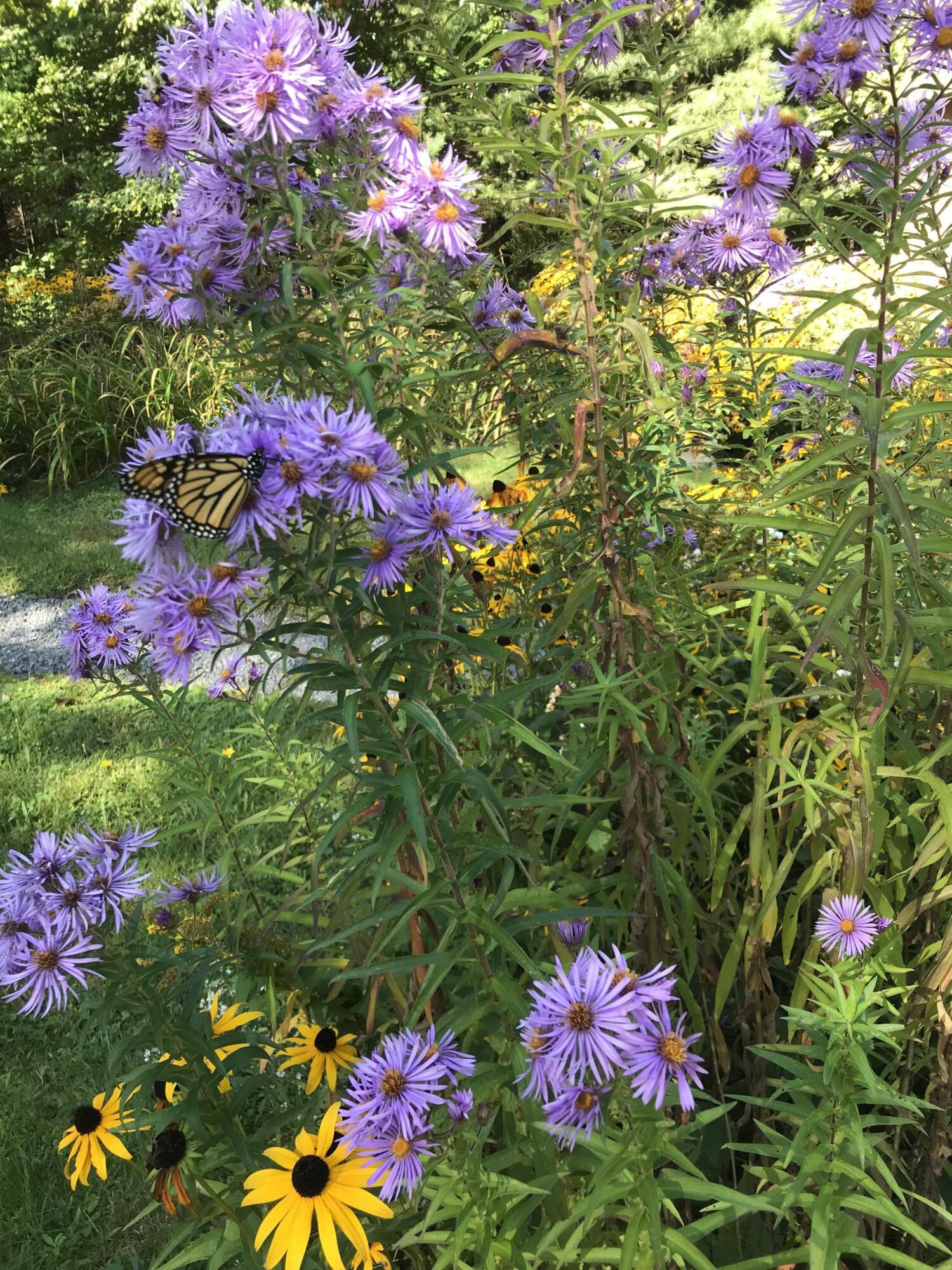 260 Coombs Road Brunswick ME 04011