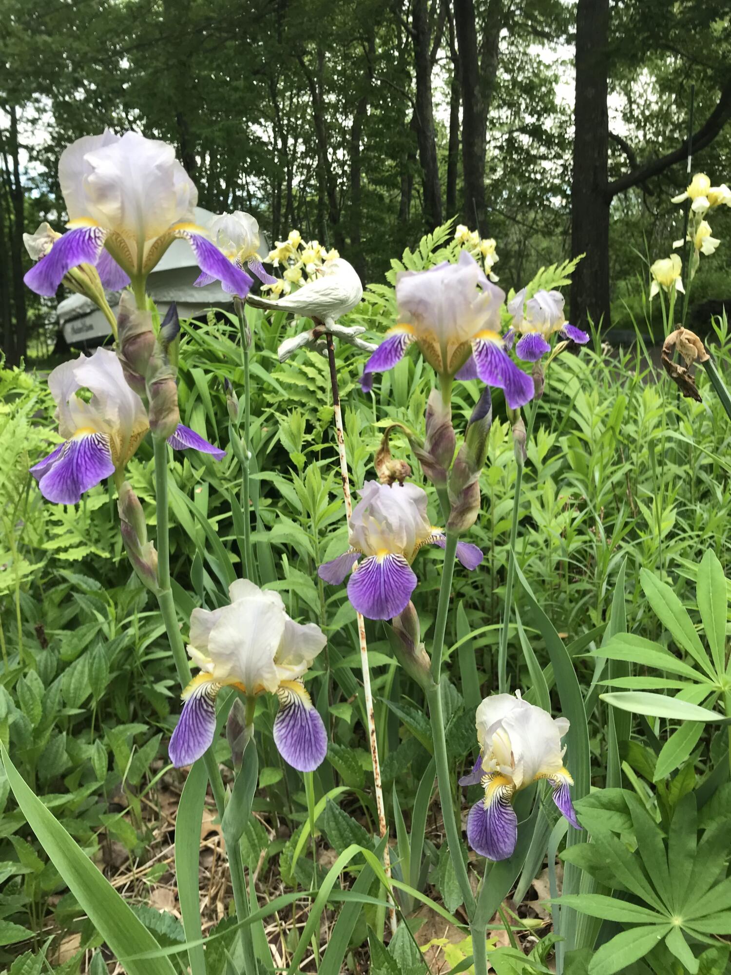 260 Coombs Road Brunswick ME 04011