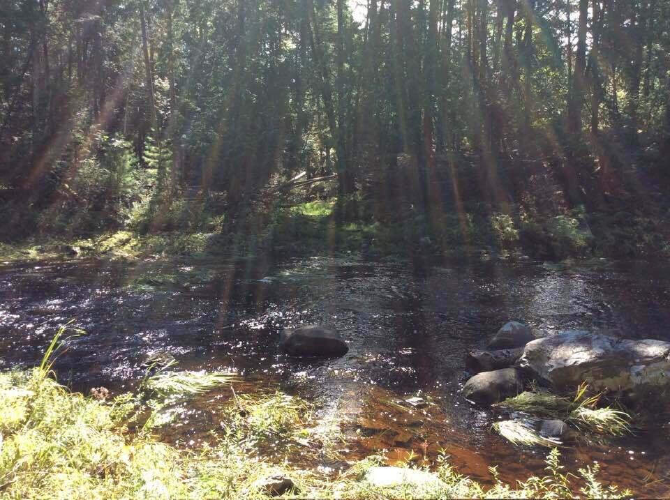 1195 N North Main Street Brewer ME 04412