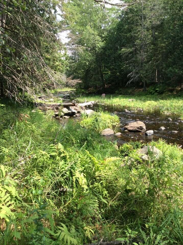 1195 N North Main Street Brewer ME 04412