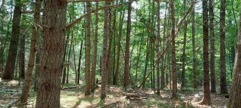 1195 N North Main Street Brewer ME 04412