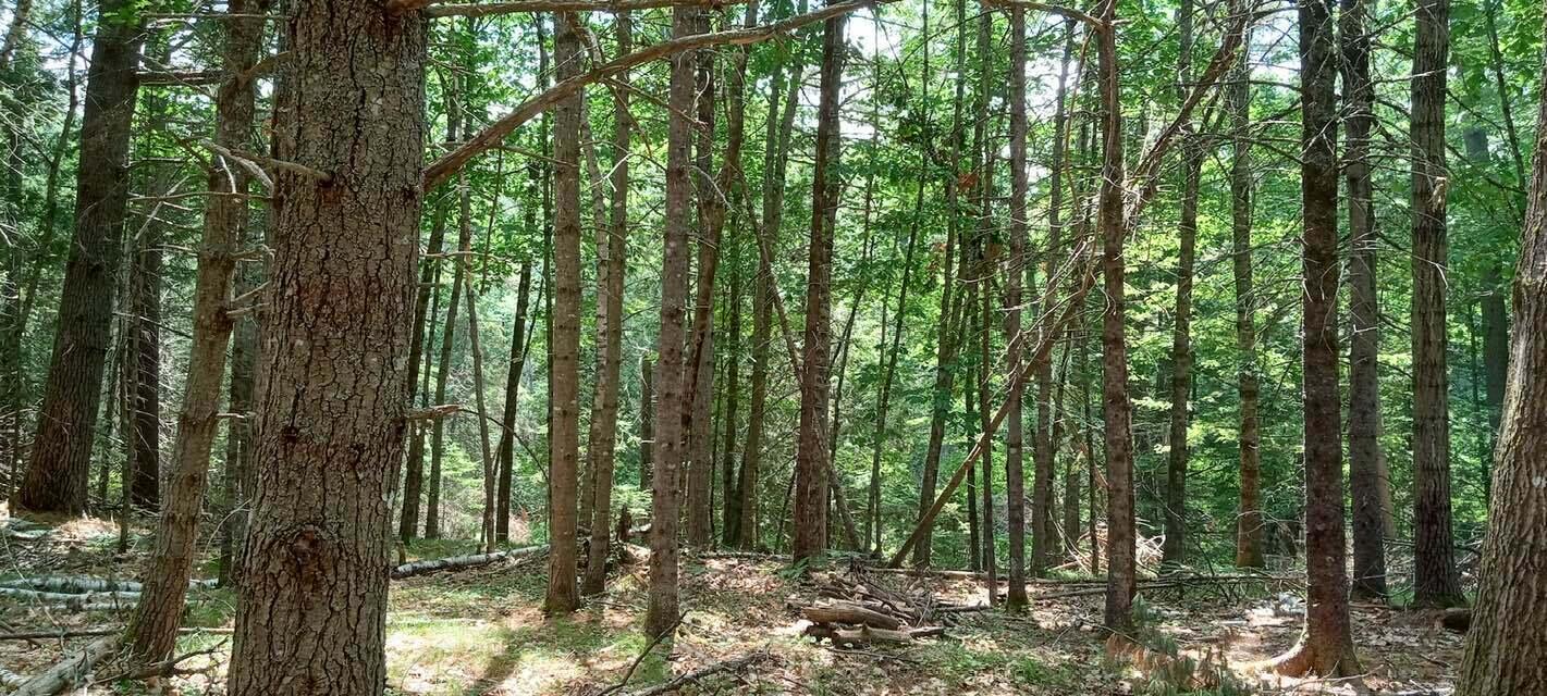 1195 N North Main Street Brewer ME 04412