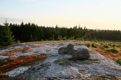 614-a Oceanville Road Stonington ME 04681