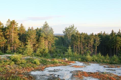 614-a Oceanville Road Stonington ME 04681