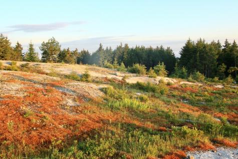 614-a Oceanville Road Stonington ME 04681