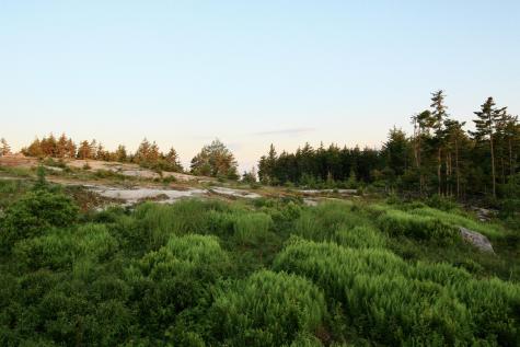 614-a Oceanville Road Stonington ME 04681