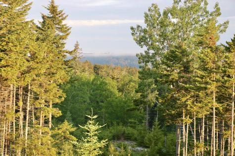 614-a Oceanville Road Stonington ME 04681