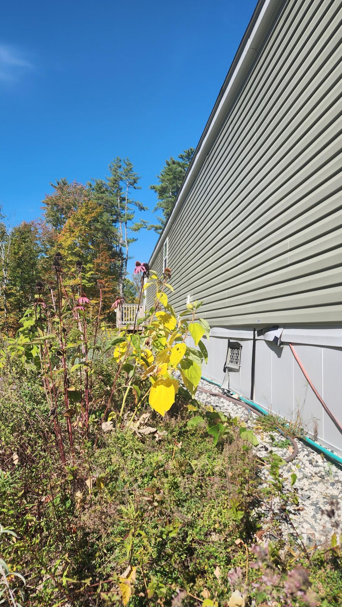 154 Staples Road Newfield ME 04095