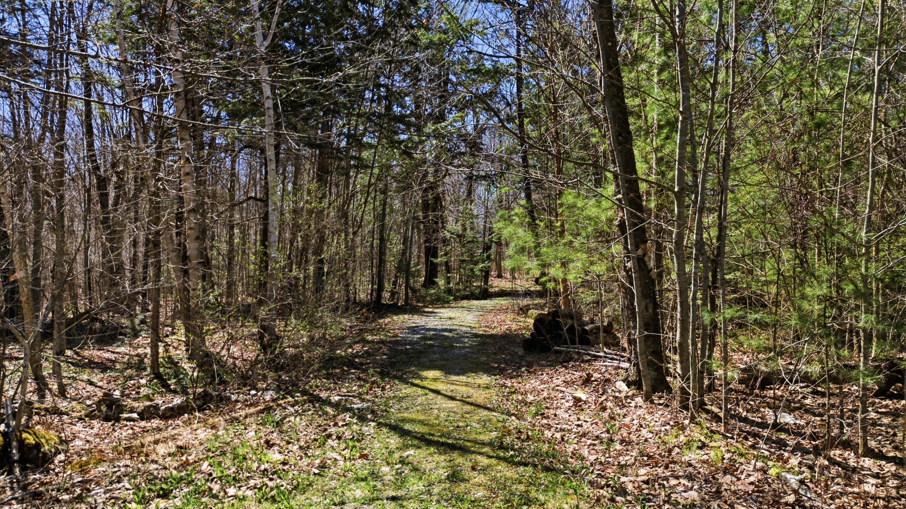 43 Hoyt Drive Monmouth ME 04259
