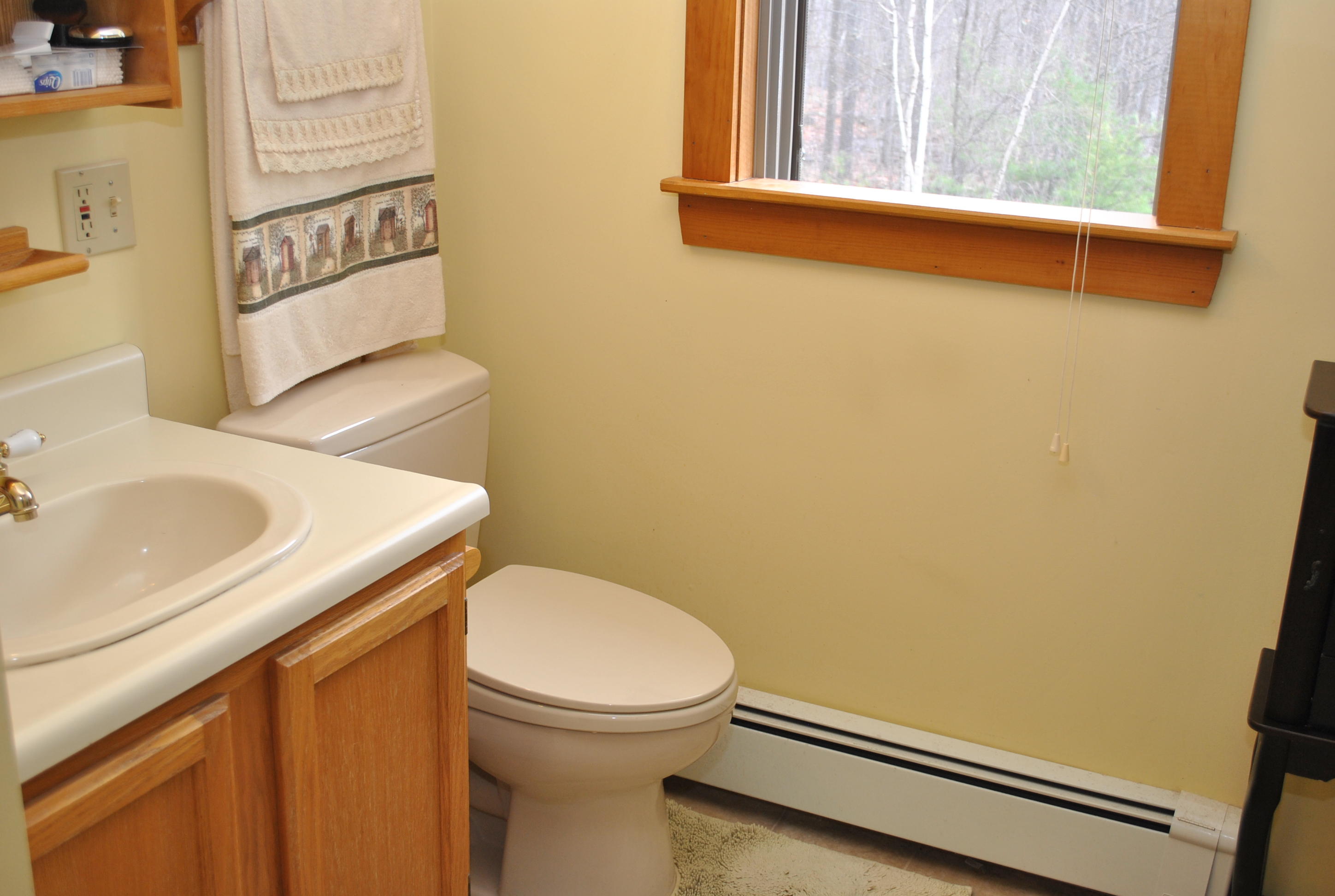 302 Lost Mile Road Parsonsfield ME 04047