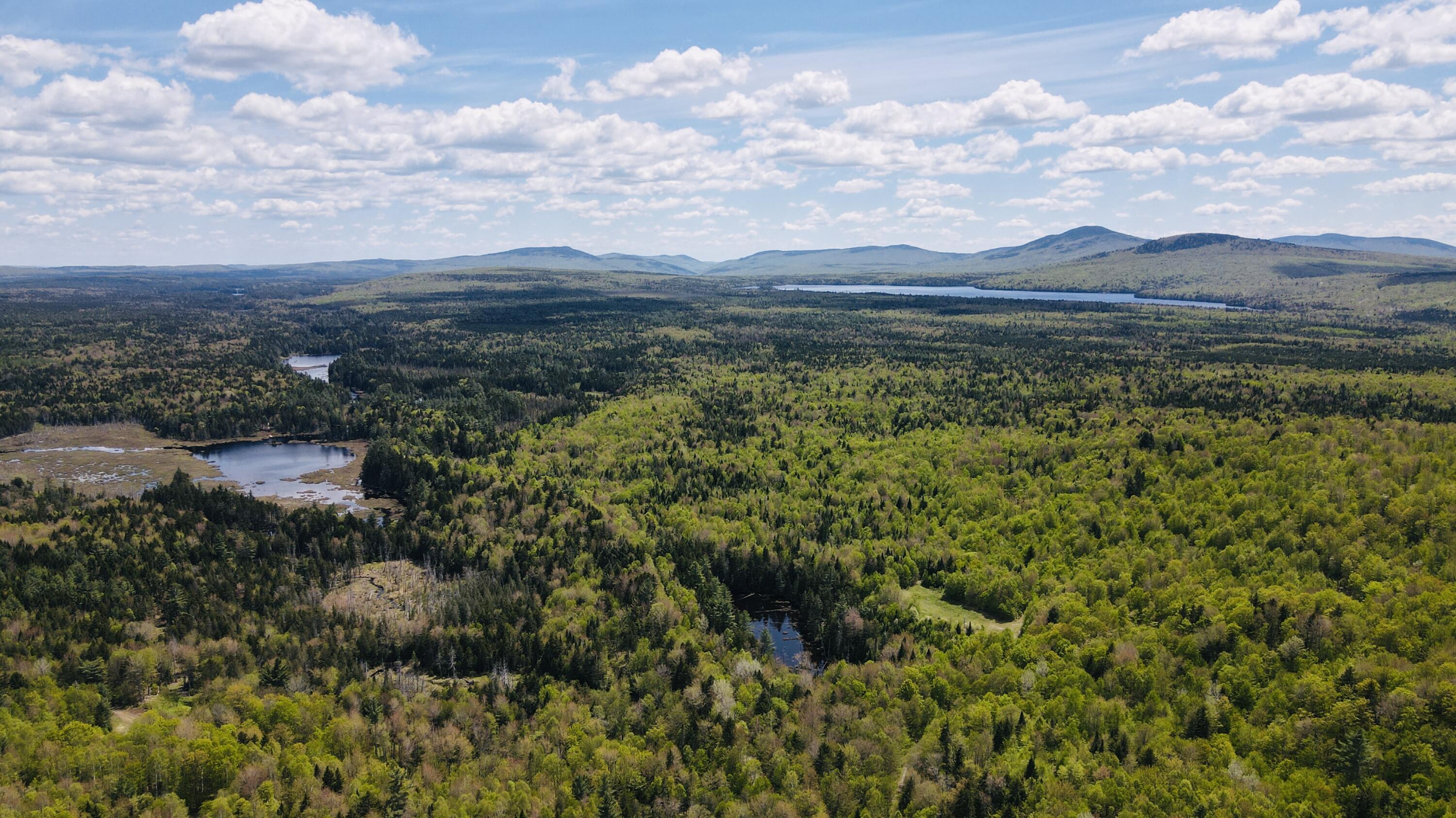 950 Carrying Place Road Carrying Place Town Twp ME 04961