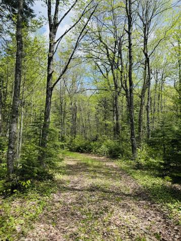 950 Carrying Place Road Carrying Place Town Twp ME 04961