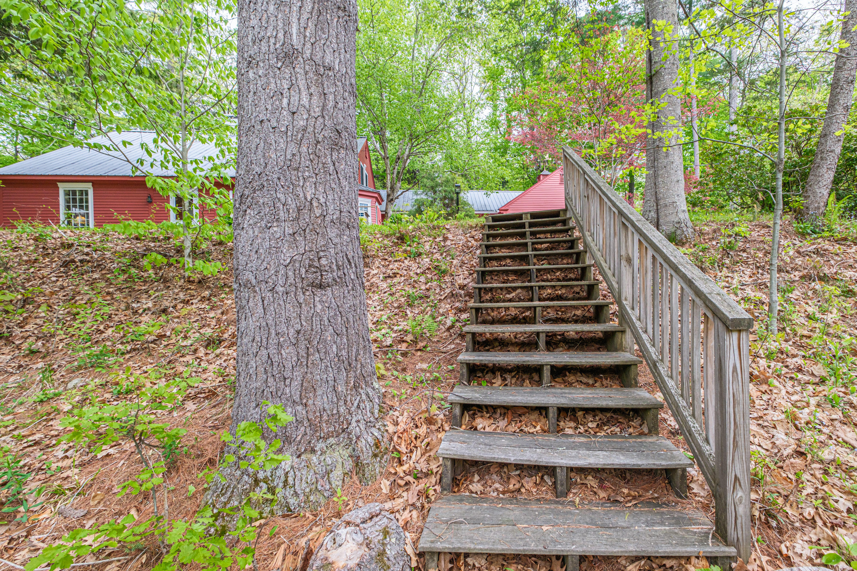 17 Packard Avenue Norway ME 04268