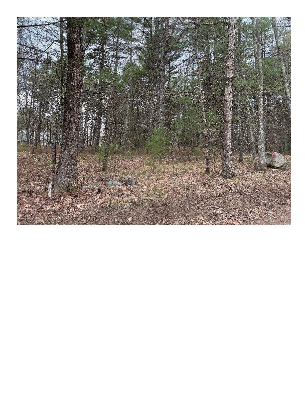 Lot 87-1-2 Drown Road Alfred ME 04002