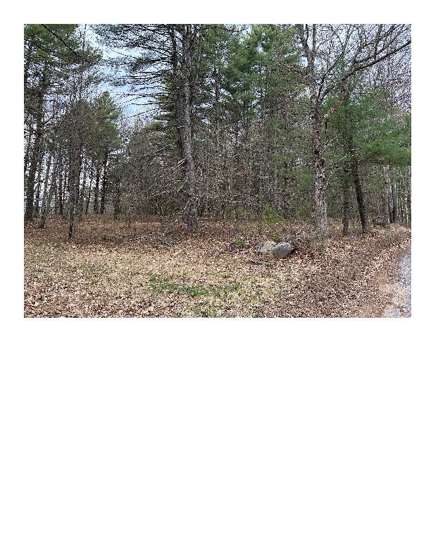 Lot 87-1-2 Drown Road Alfred ME 04002