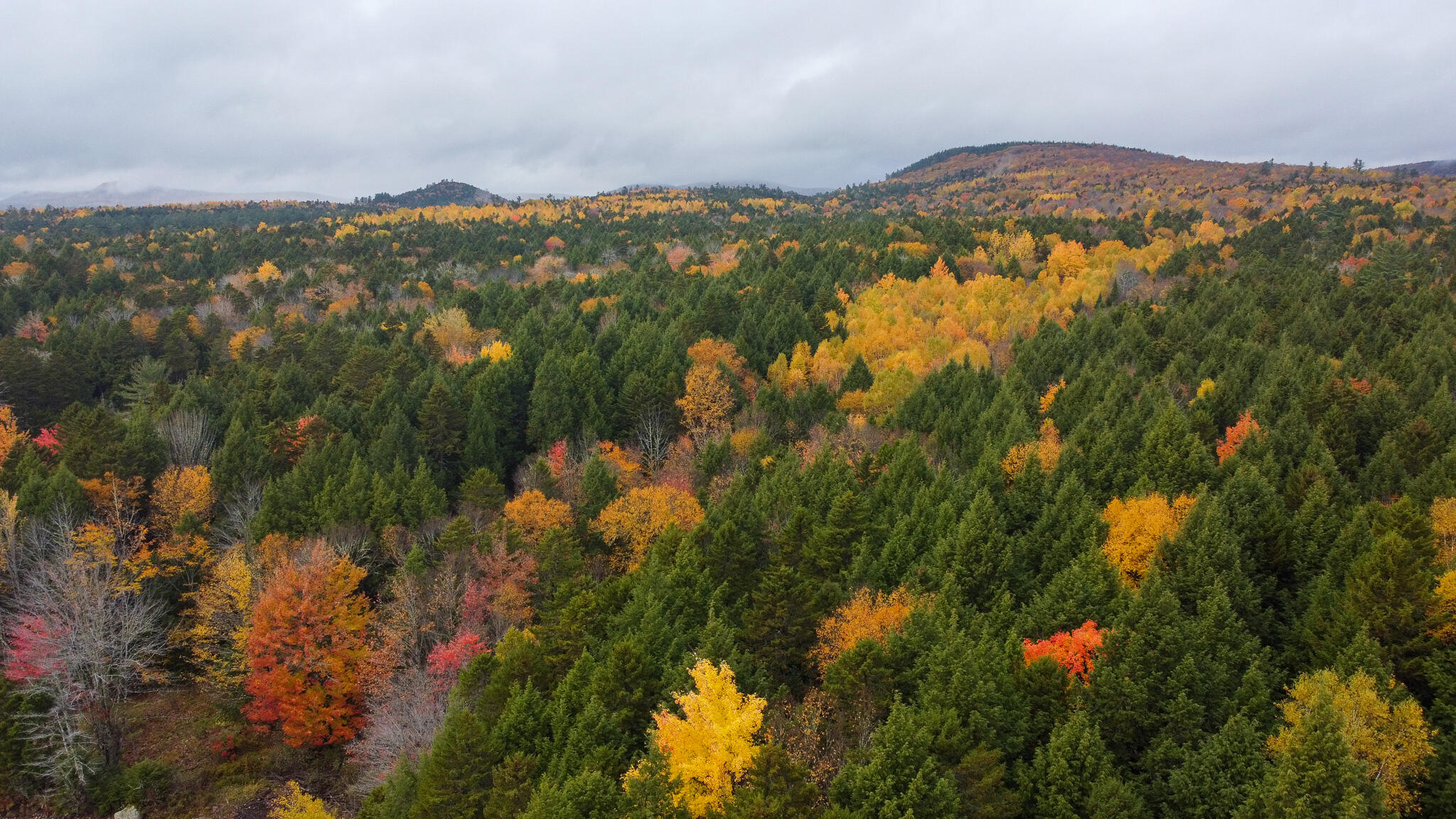 Map Pe002 Lot 17 Pukakon Twp ME 04487
