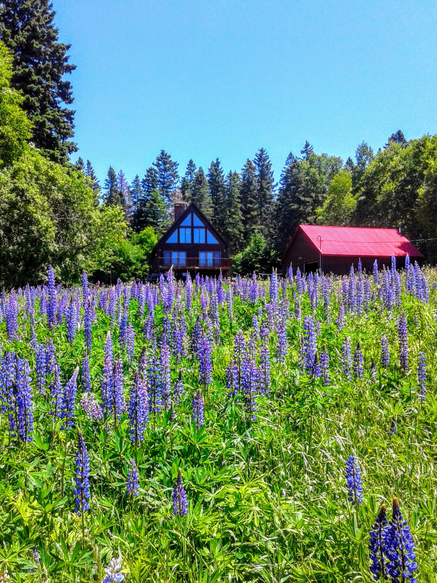 49 Nichols Road Dallas Plt ME 04970