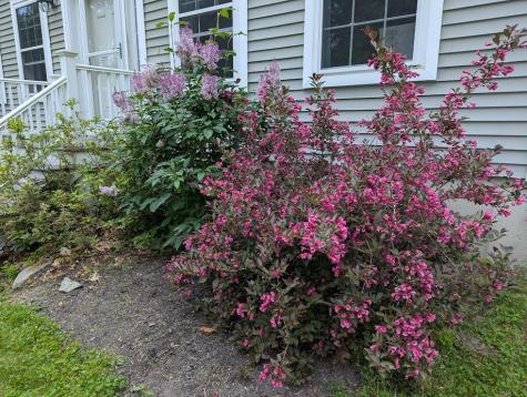 311 Milt Brown Road Standish ME 04084