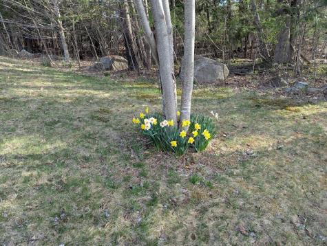 311 Milt Brown Road Standish ME 04084