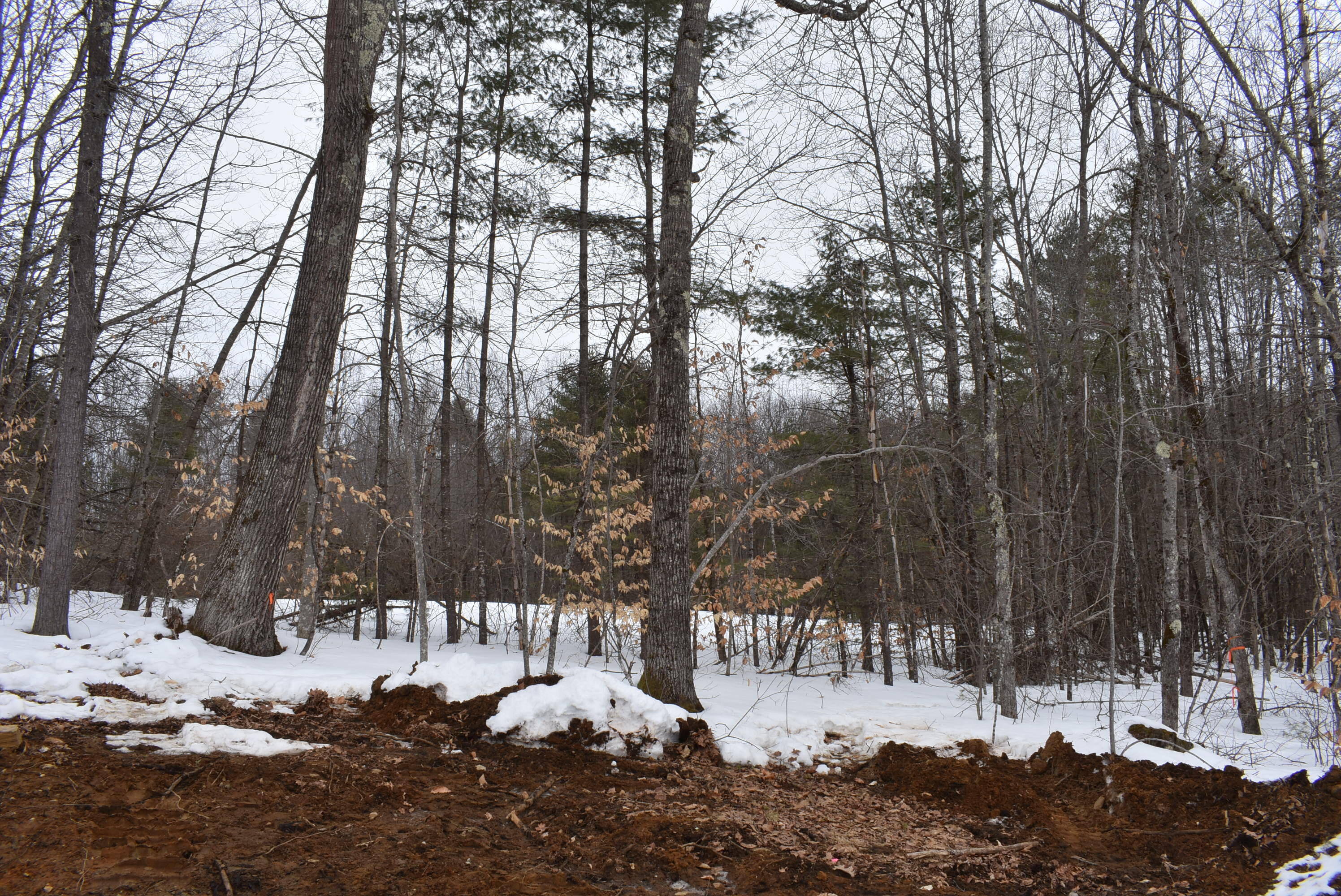 24 Eastern Lane Standish ME 04084