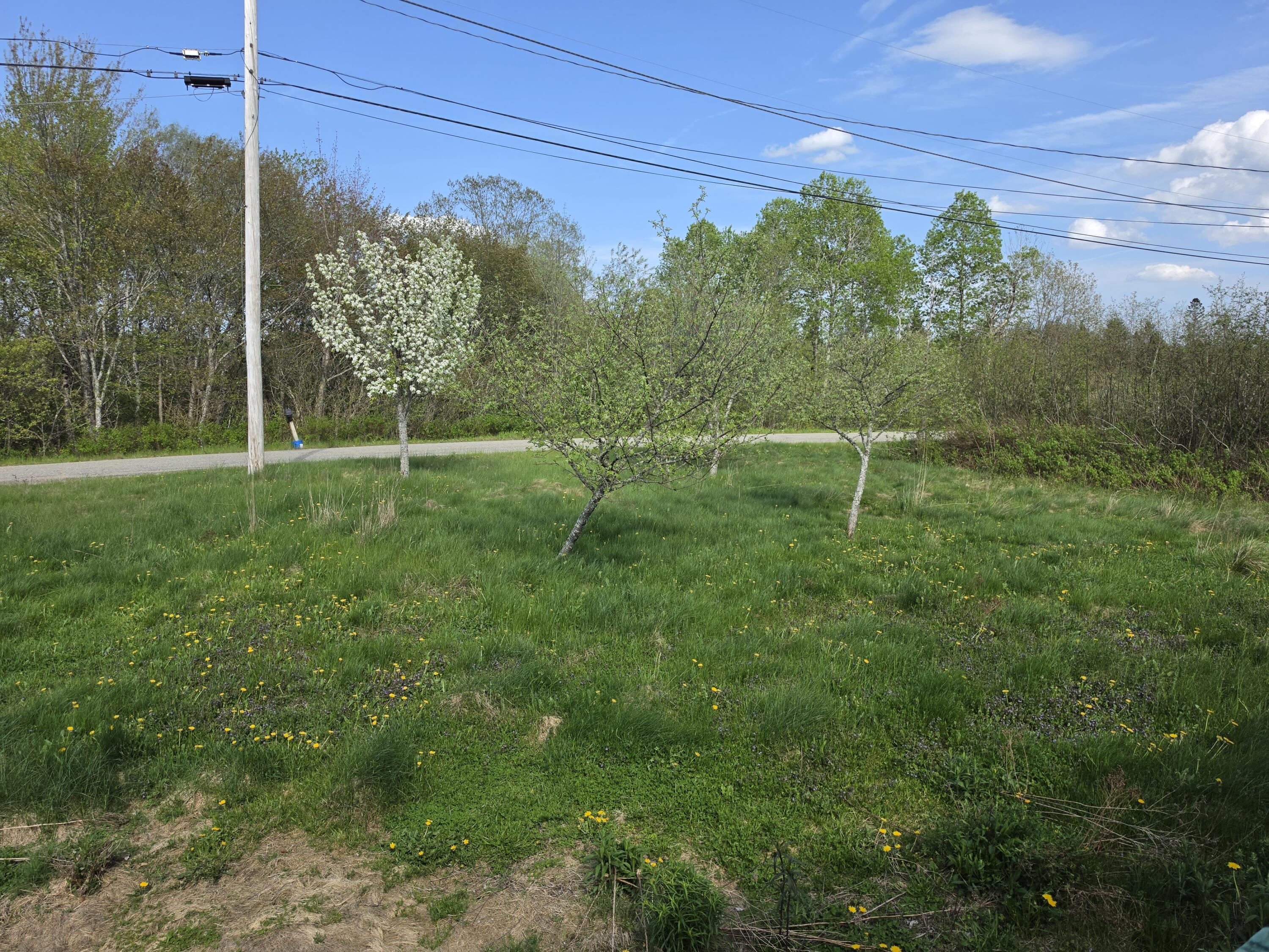 172 Hardy Point Road Pembroke ME 04666