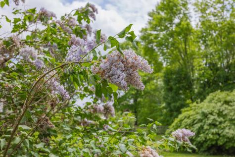 145 Knowlton Corner Road Farmington ME 04938