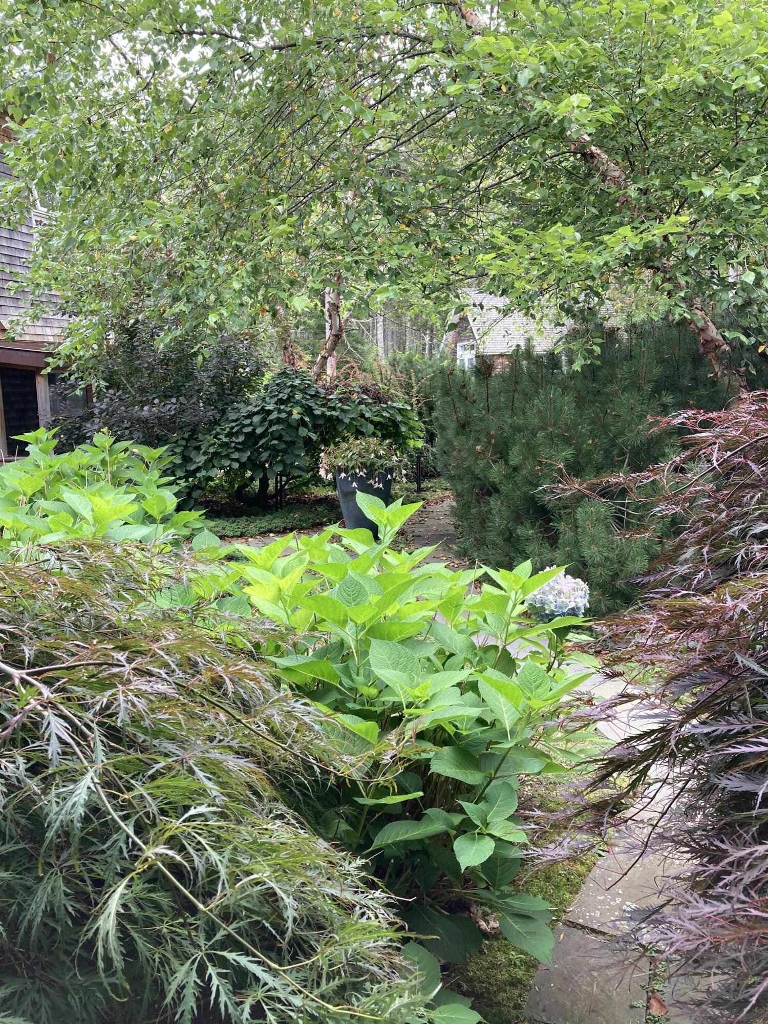 51 Fox Lane Brooklin ME 04616