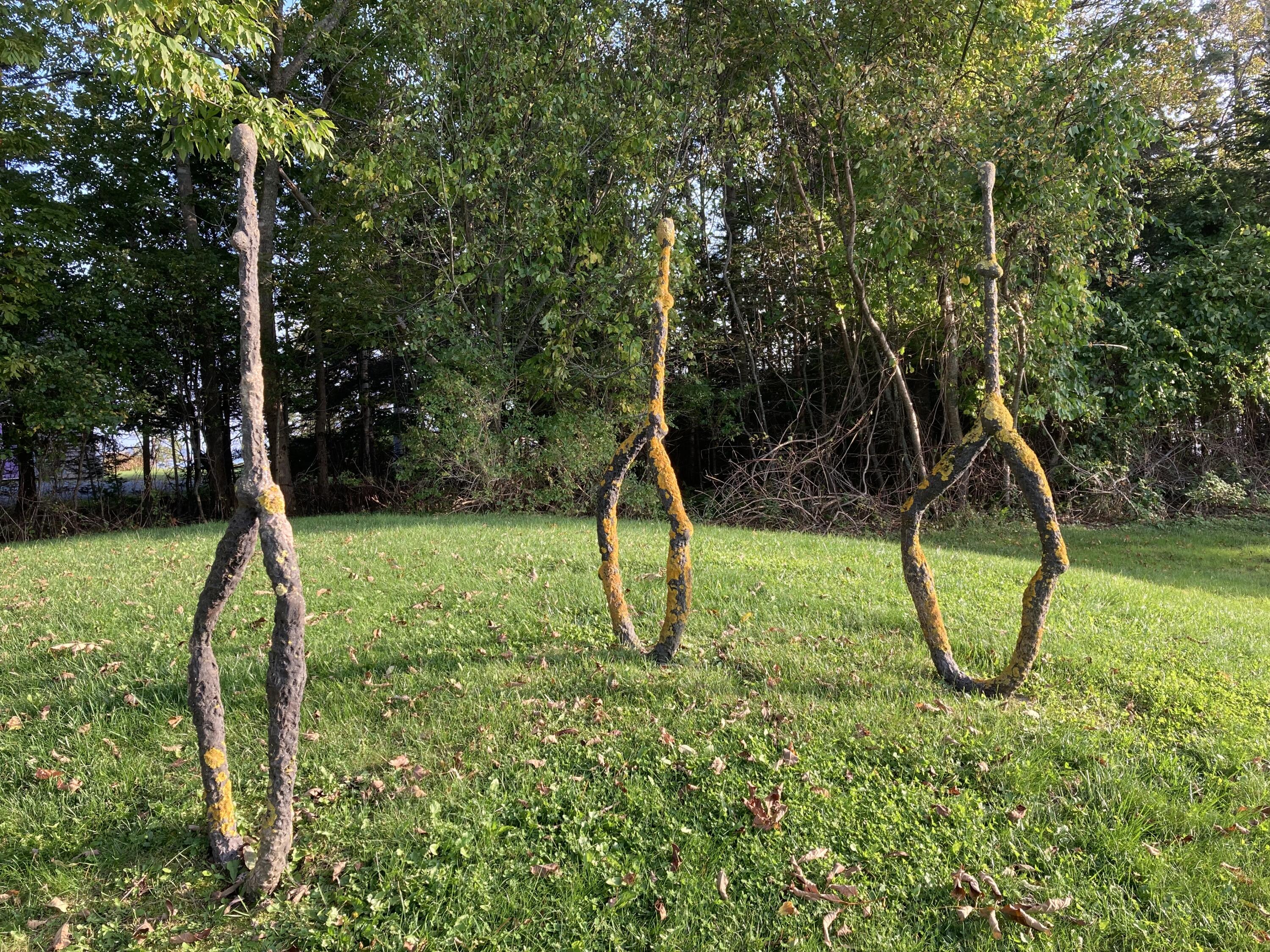 51 Fox Lane Brooklin ME 04616