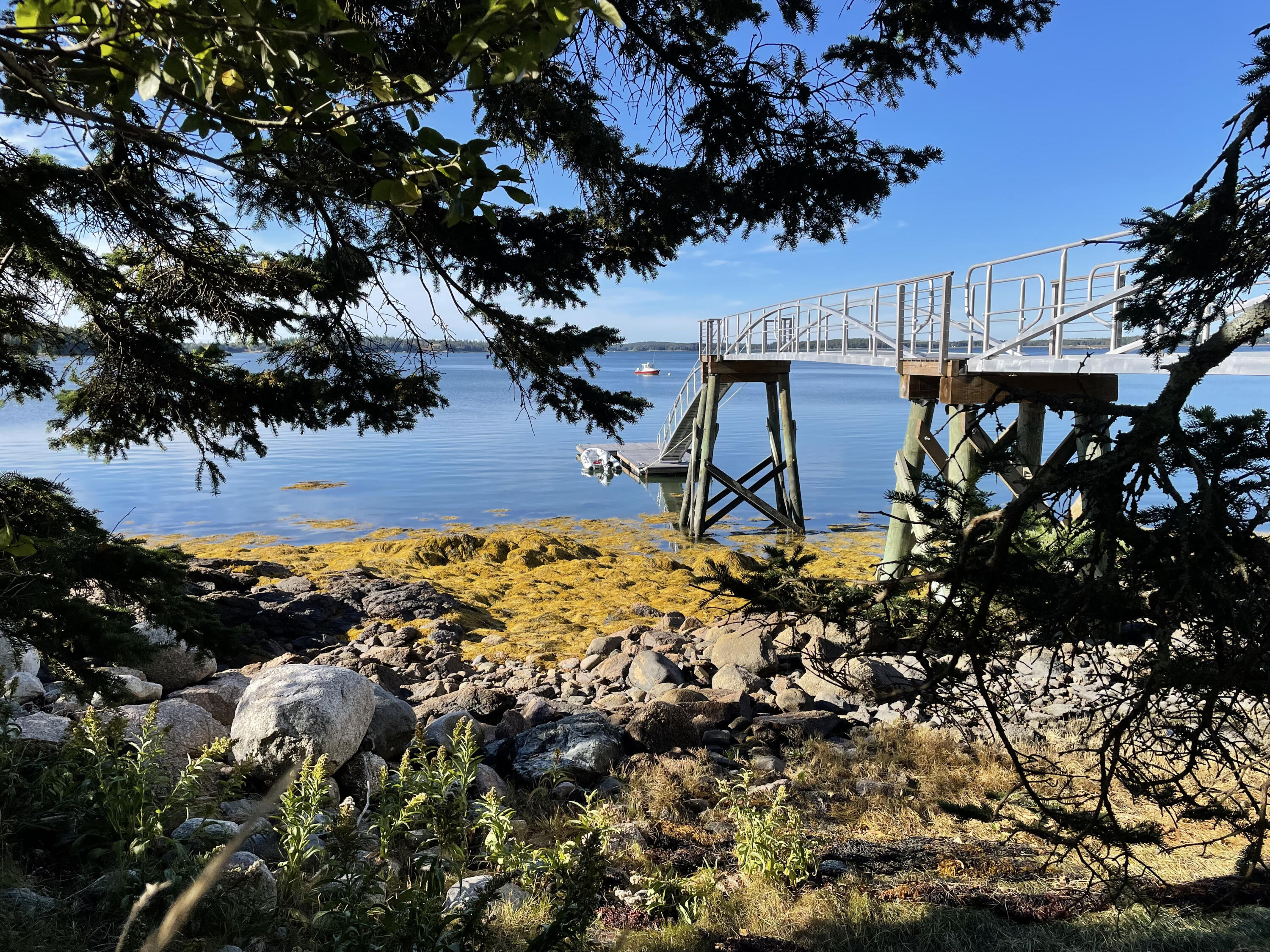 51 Fox Lane Brooklin ME 04616