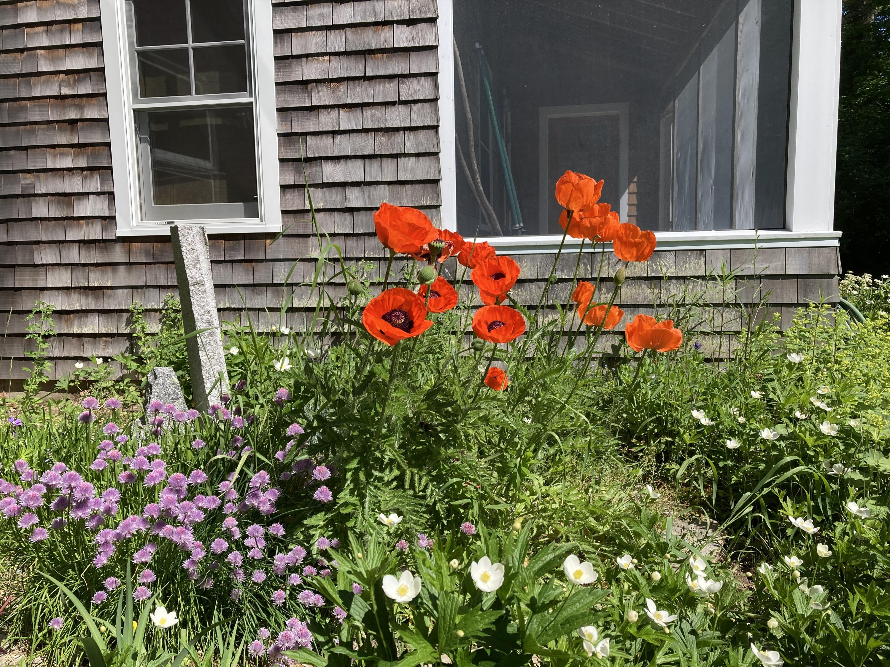 51 Fox Lane Brooklin ME 04616