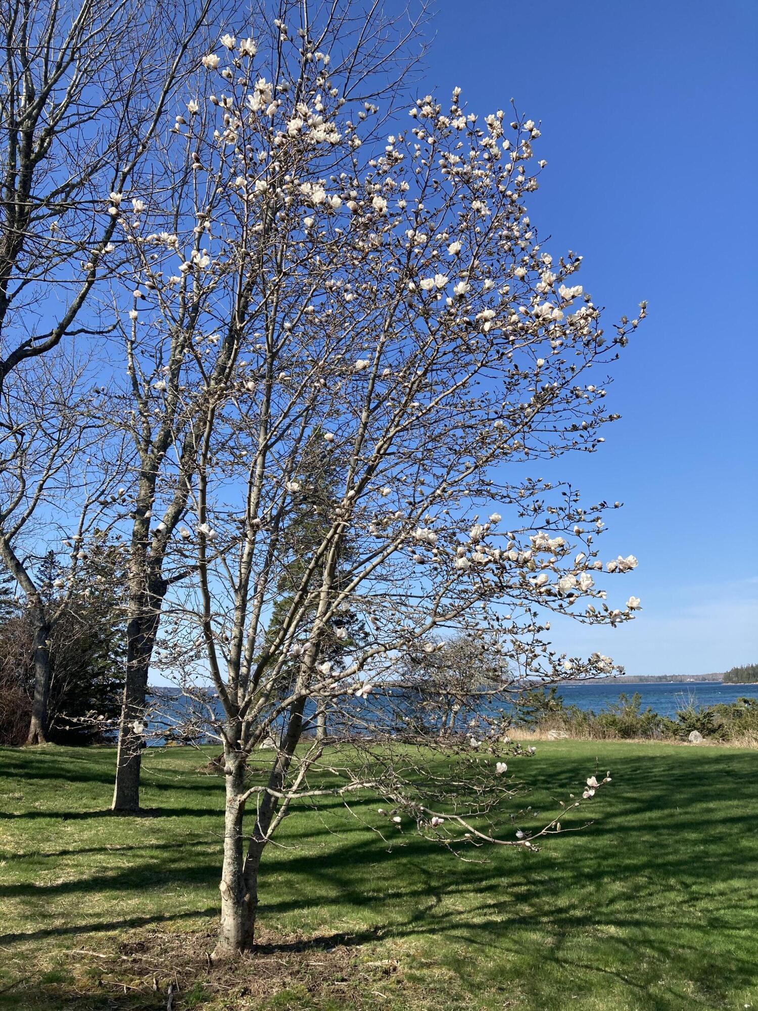 51 Fox Lane Brooklin ME 04616