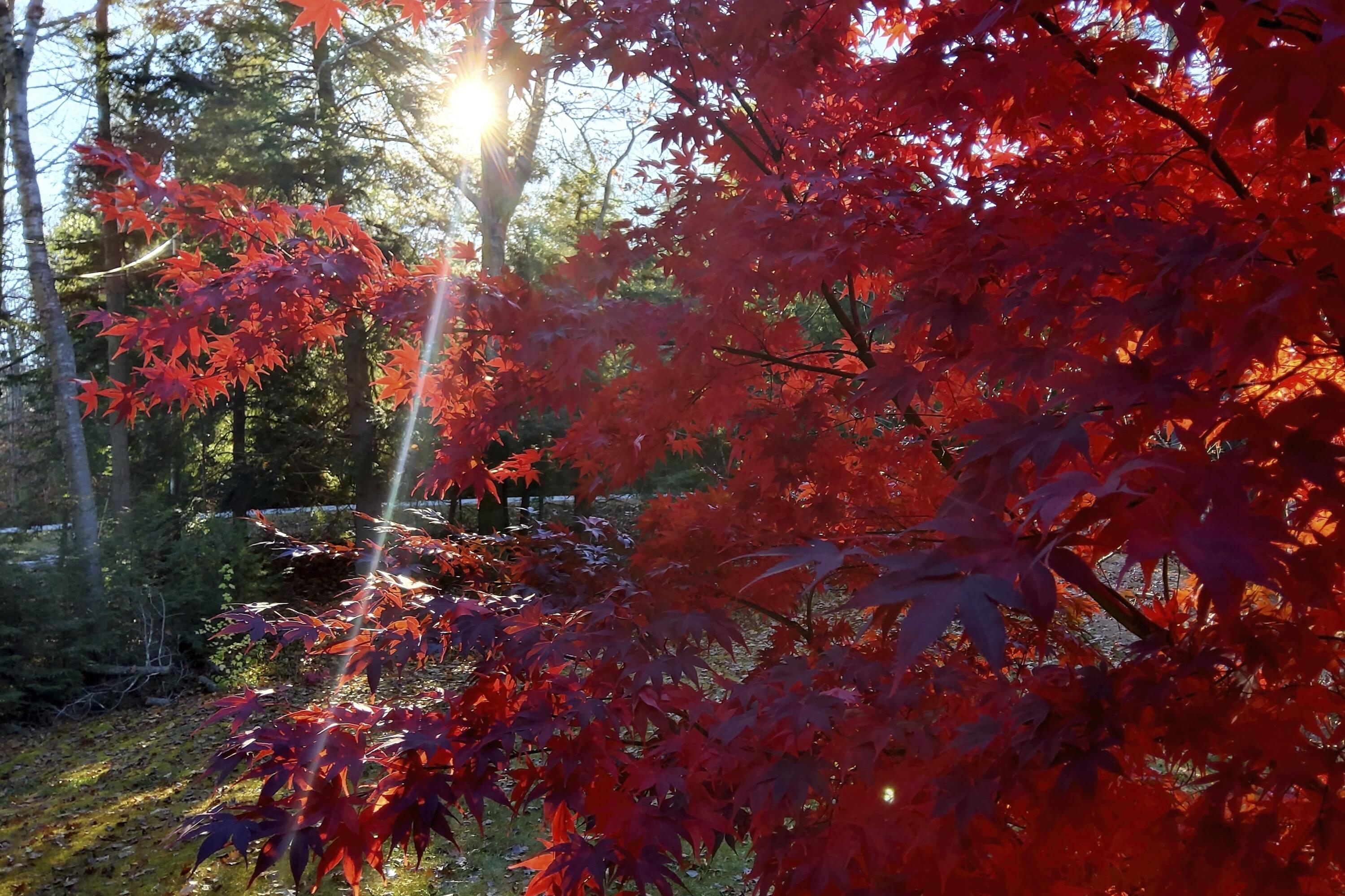 567 Slab City Road Lincolnville ME 04849