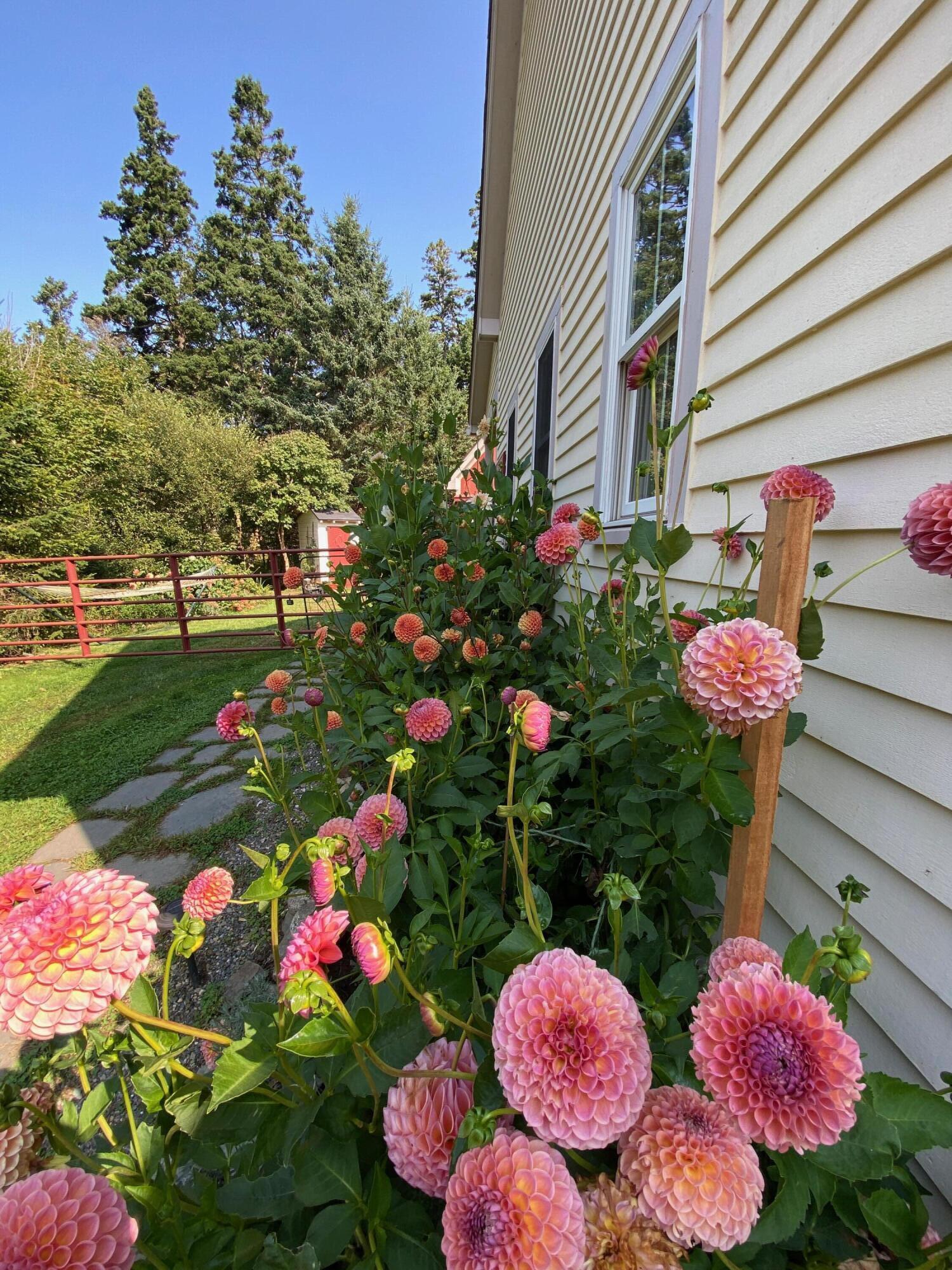 1020 Hendricks Hill Road Southport ME 04576