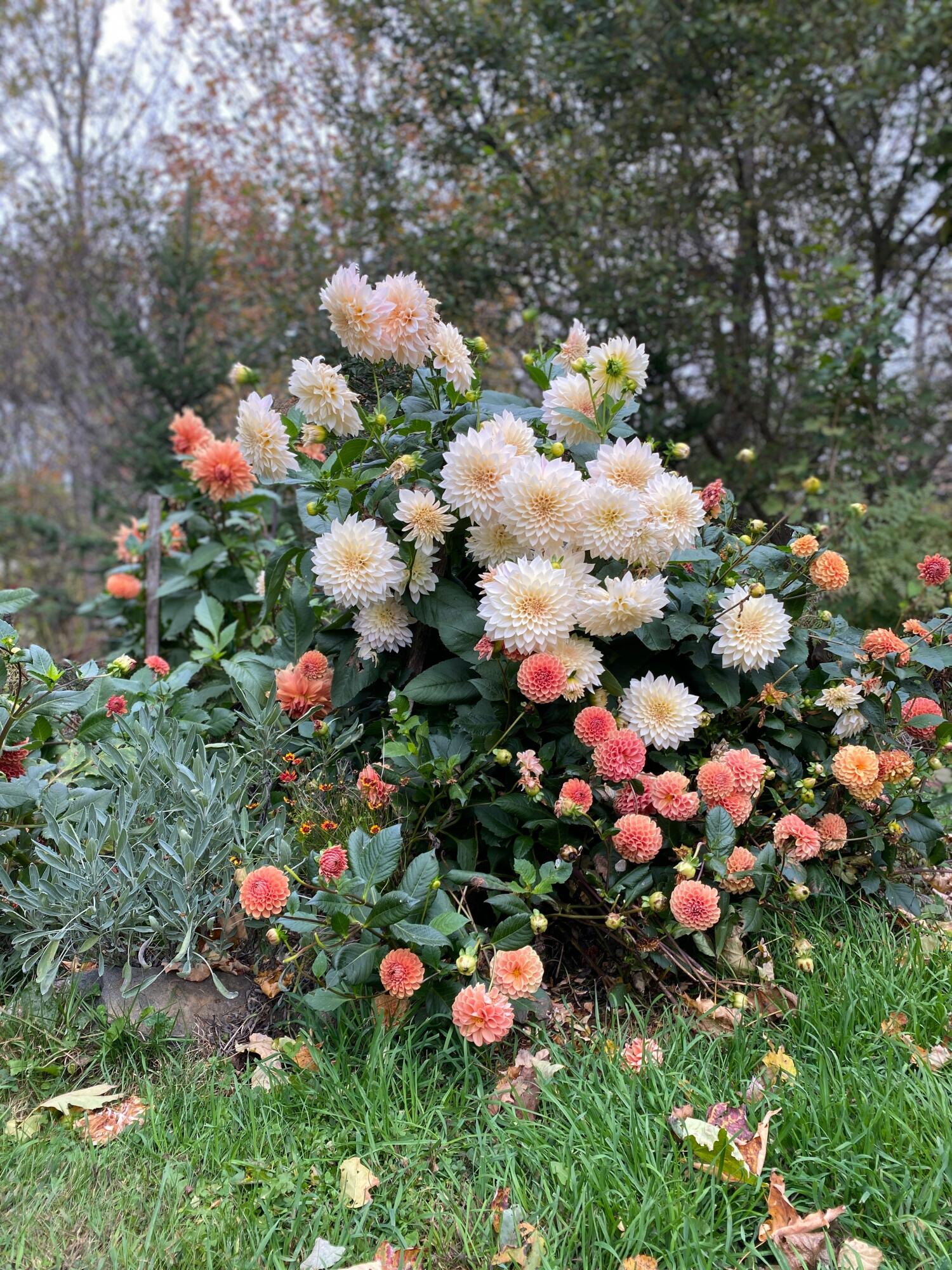 1020 Hendricks Hill Road Southport ME 04576