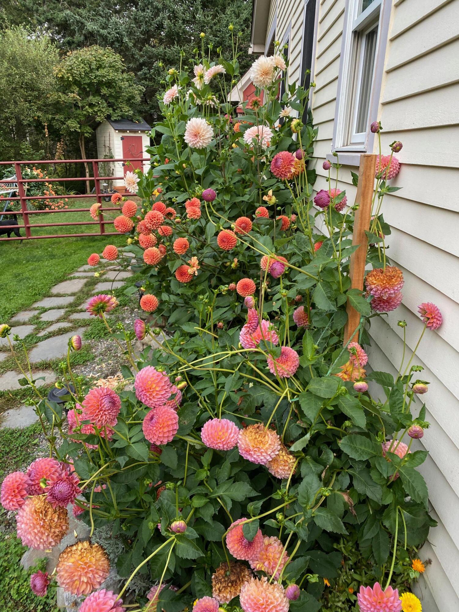 1020 Hendricks Hill Road Southport ME 04576