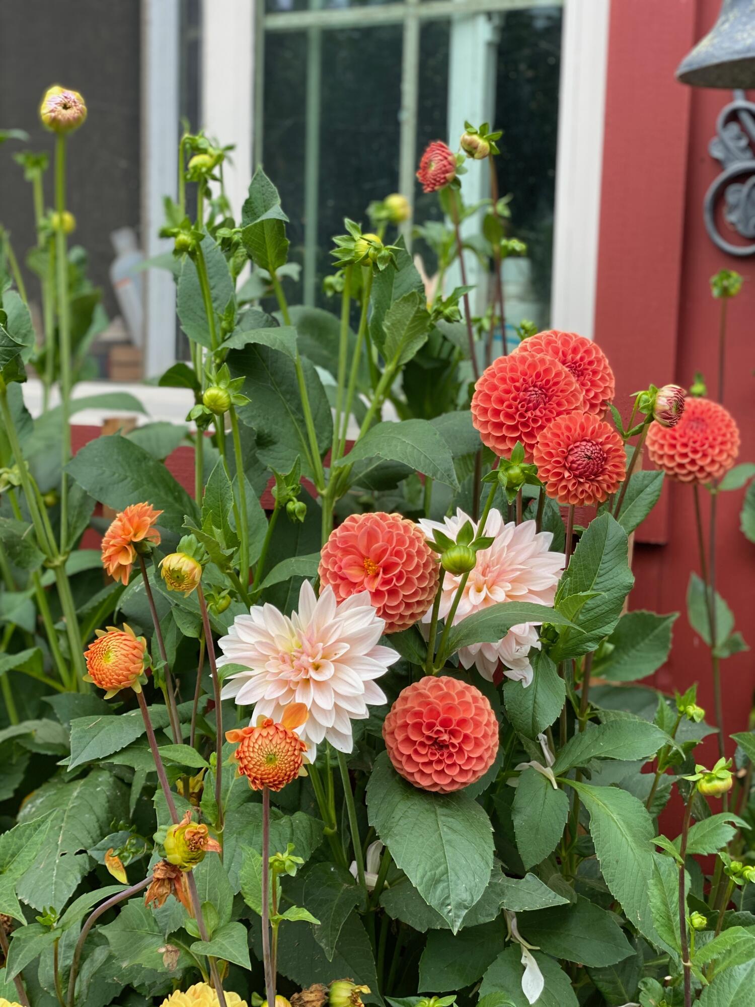 1020 Hendricks Hill Road Southport ME 04576