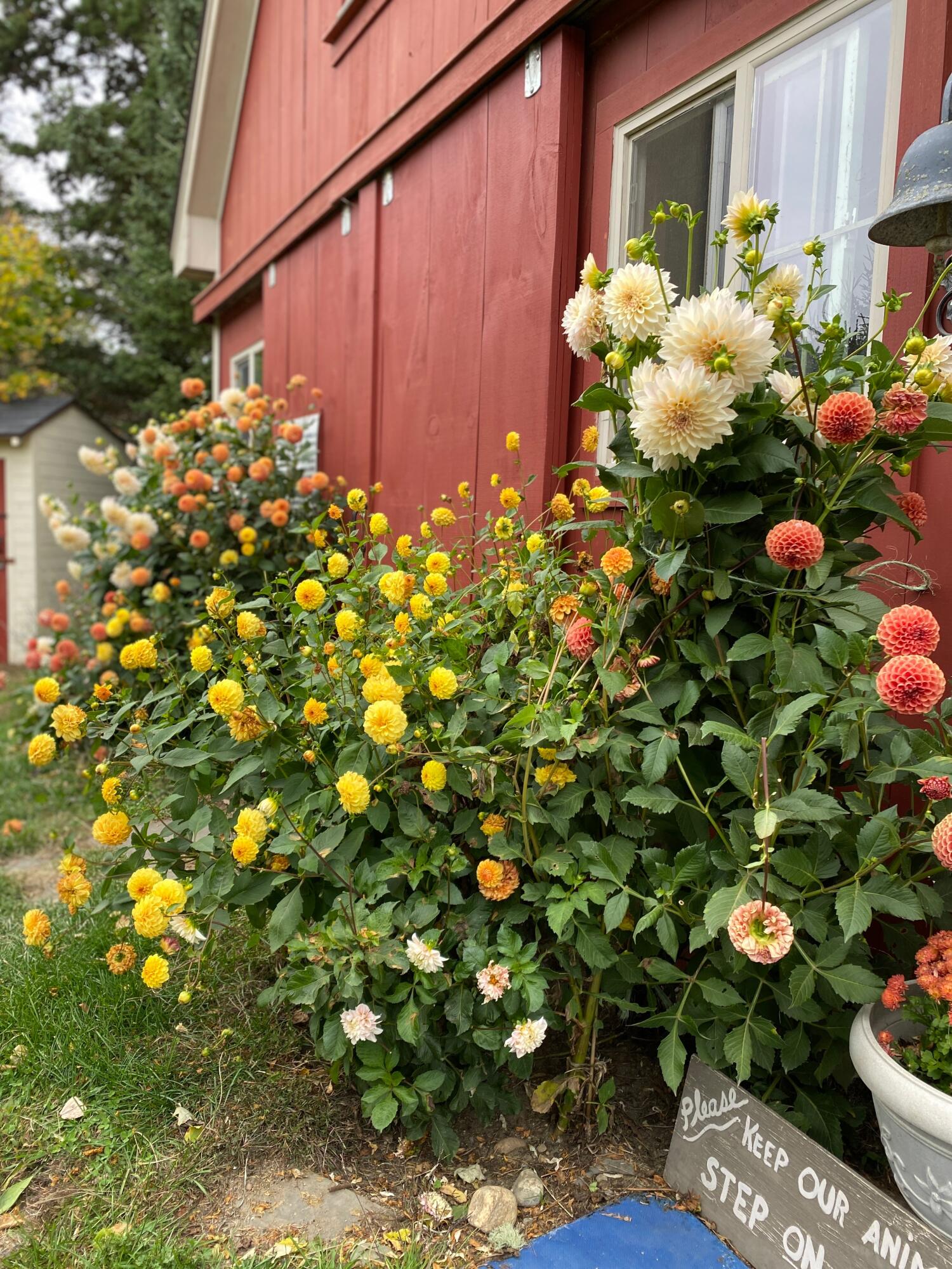 1020 Hendricks Hill Road Southport ME 04576