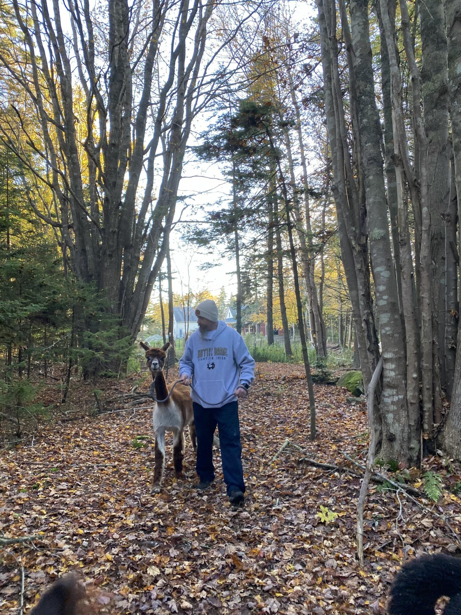 1020 Hendricks Hill Road Southport ME 04576