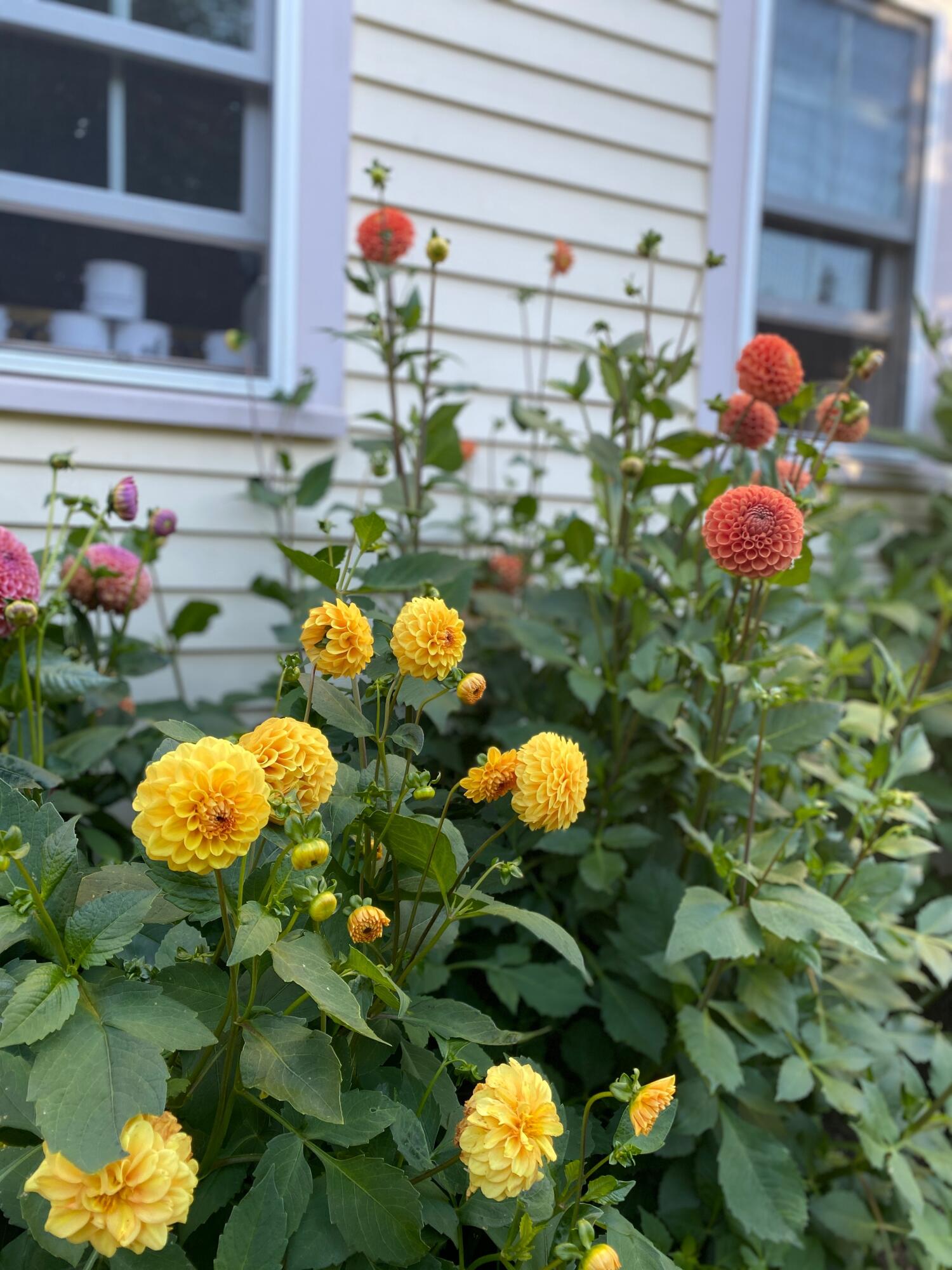 1020 Hendricks Hill Road Southport ME 04576