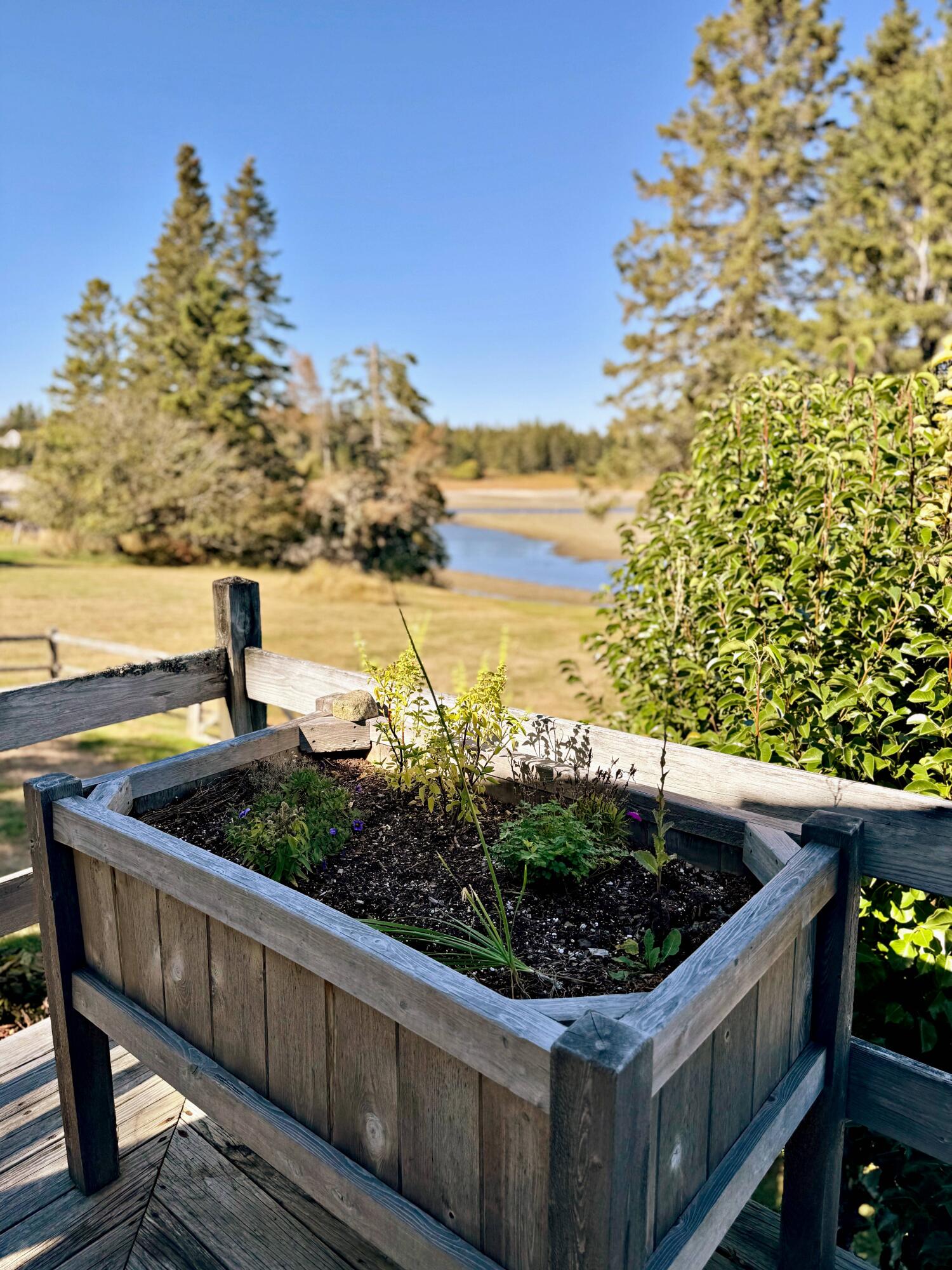 90 Johnson Cove Road Roque Bluffs ME 04654