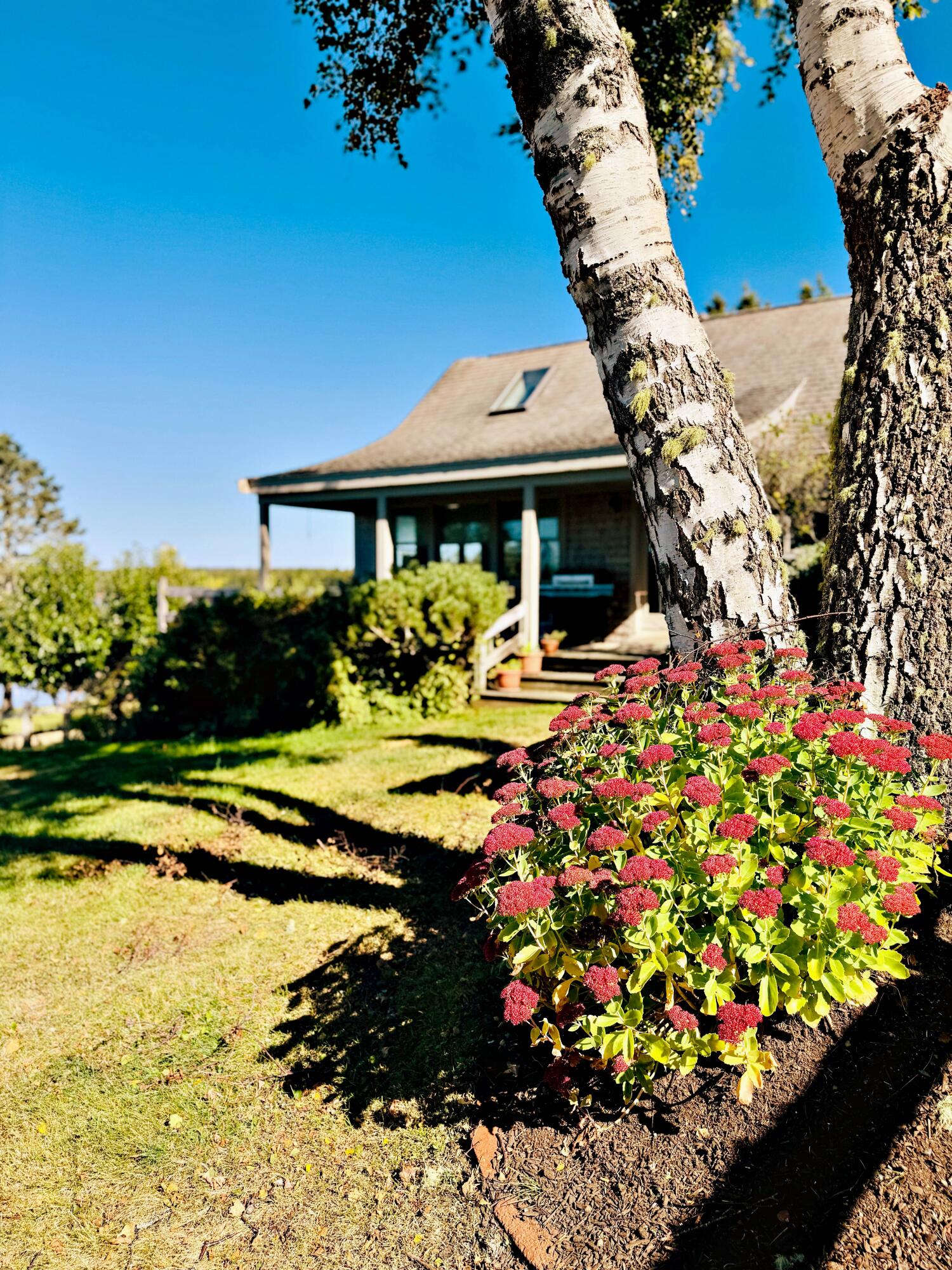 90 Johnson Cove Road Roque Bluffs ME 04654