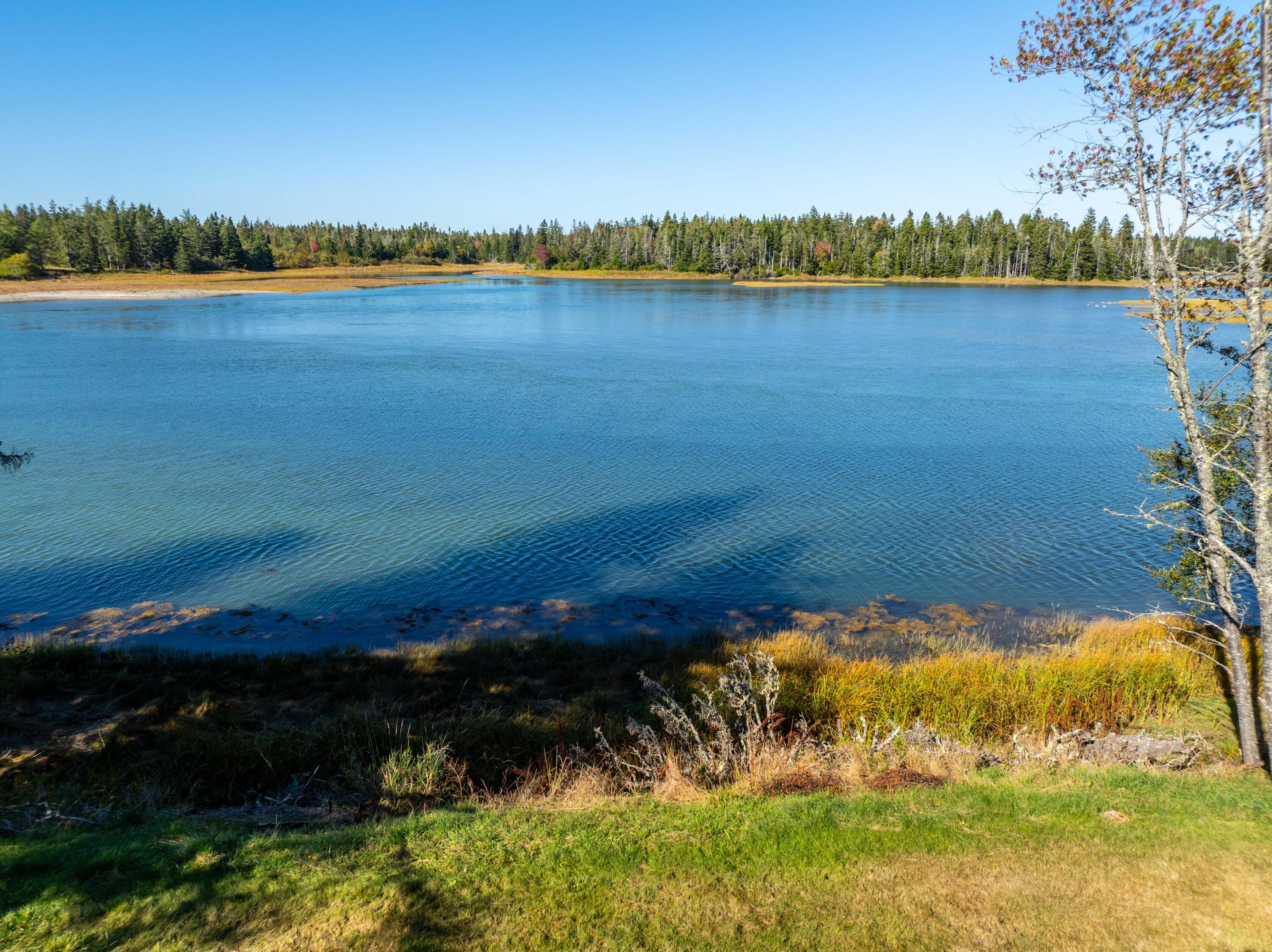 90 Johnson Cove Road Roque Bluffs ME 04654