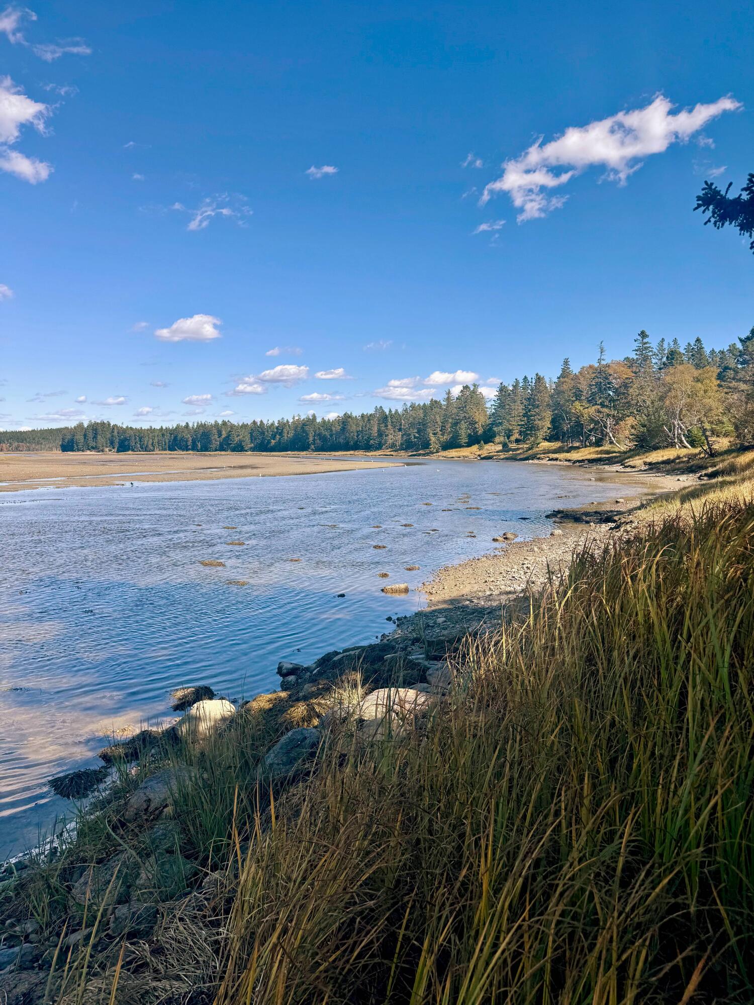 90 Johnson Cove Road Roque Bluffs ME 04654