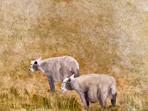 90 Johnson Cove Road Roque Bluffs ME 04654