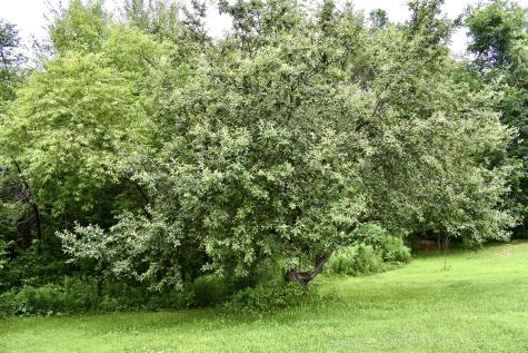 10 Rines Road Burnham ME 04922